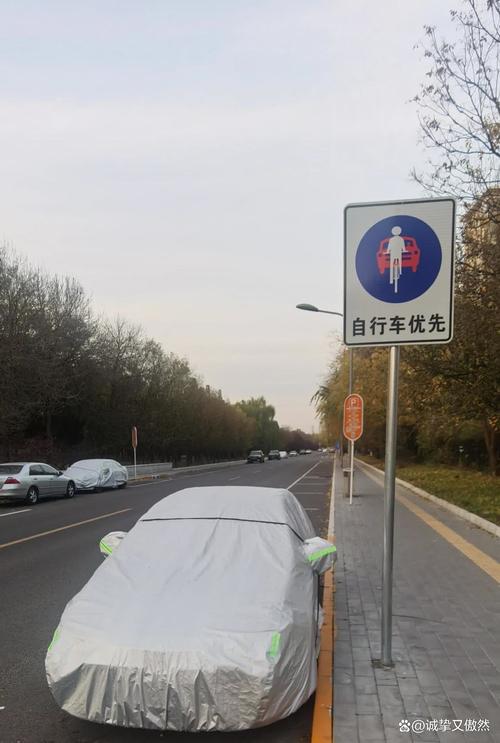ѧſͣĳ °