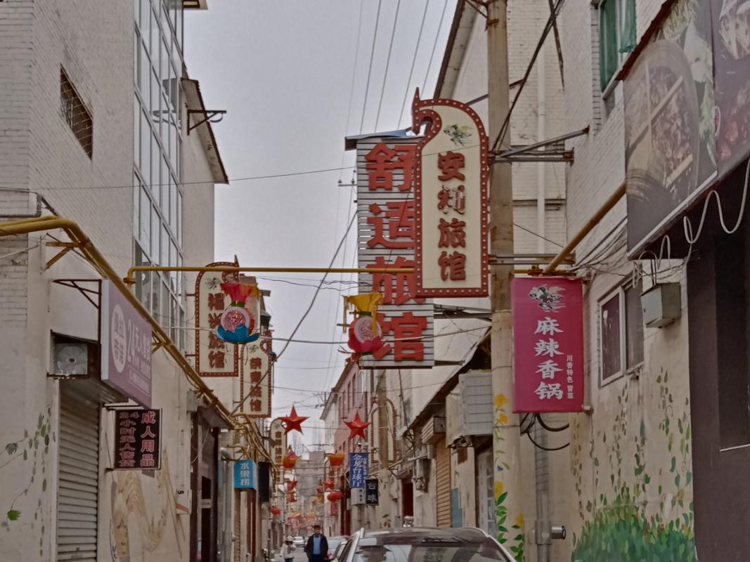 ׽ڻ