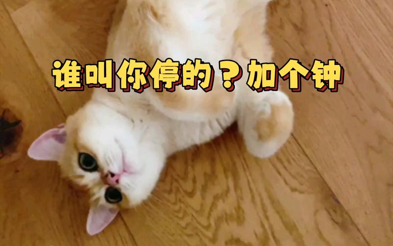 ӸǲǿԿ
