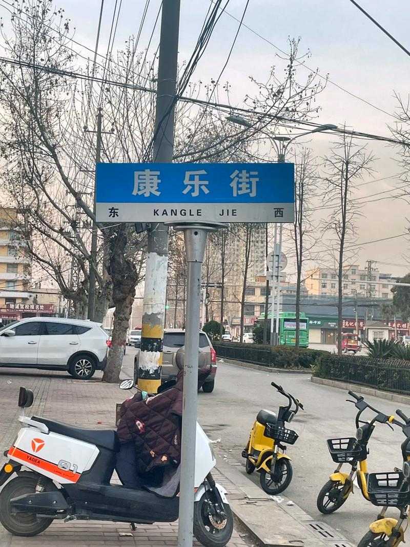 ݿֻֽй
