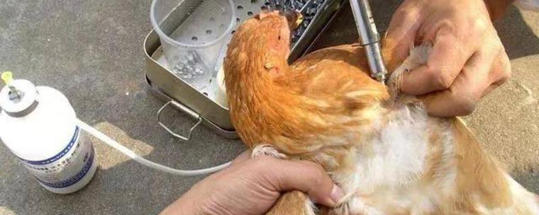 ԰ӵļĸλ