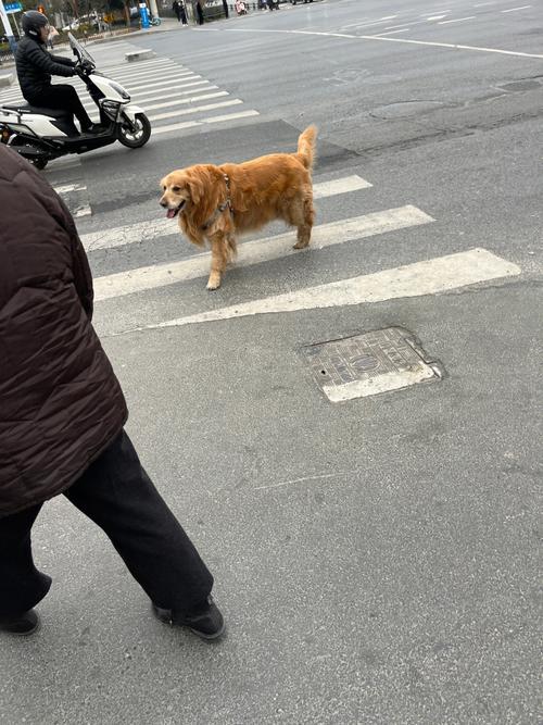 Ϸʰ鹫Ԣ¥