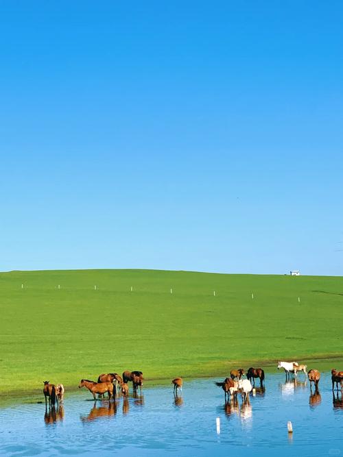 ëӶǮ