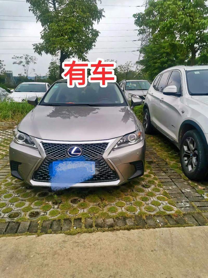ĵŮʿ绰