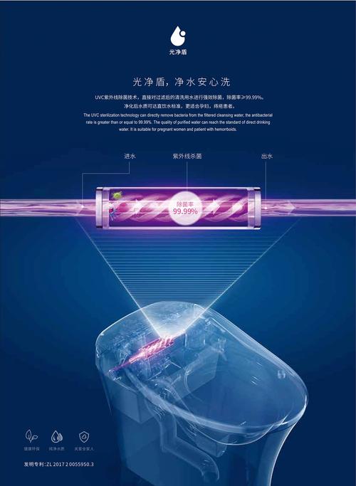 ʩ·300