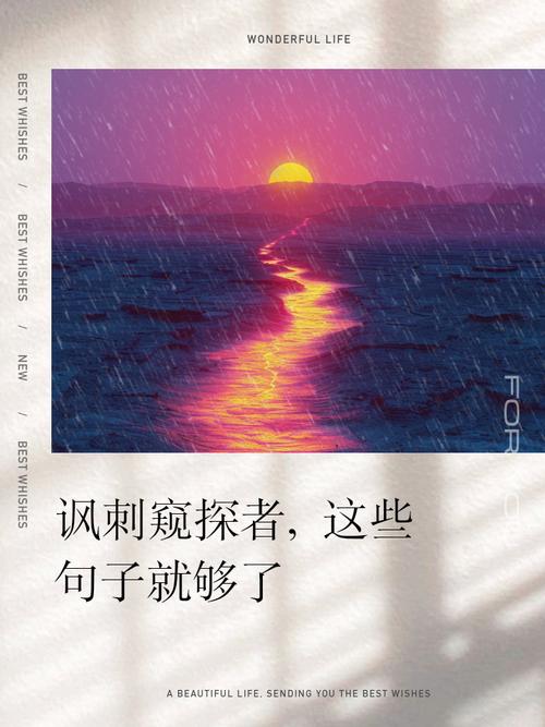 ̽̽ר