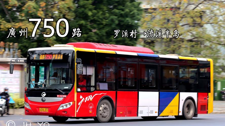 9598̳
