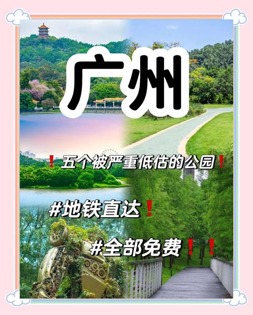 ݹ԰50齻