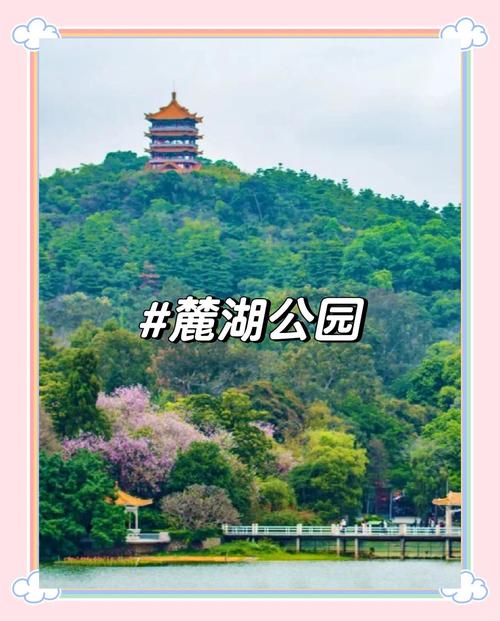 ݹ԰50齻