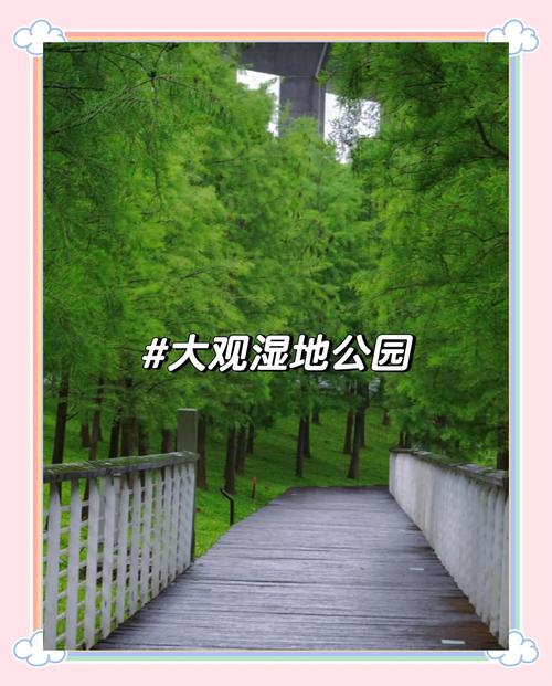 ݹ԰50齻