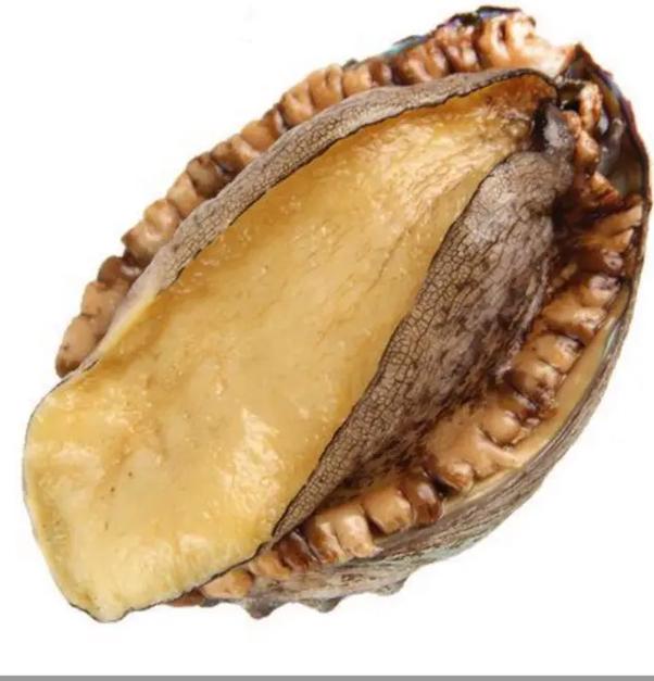 õı