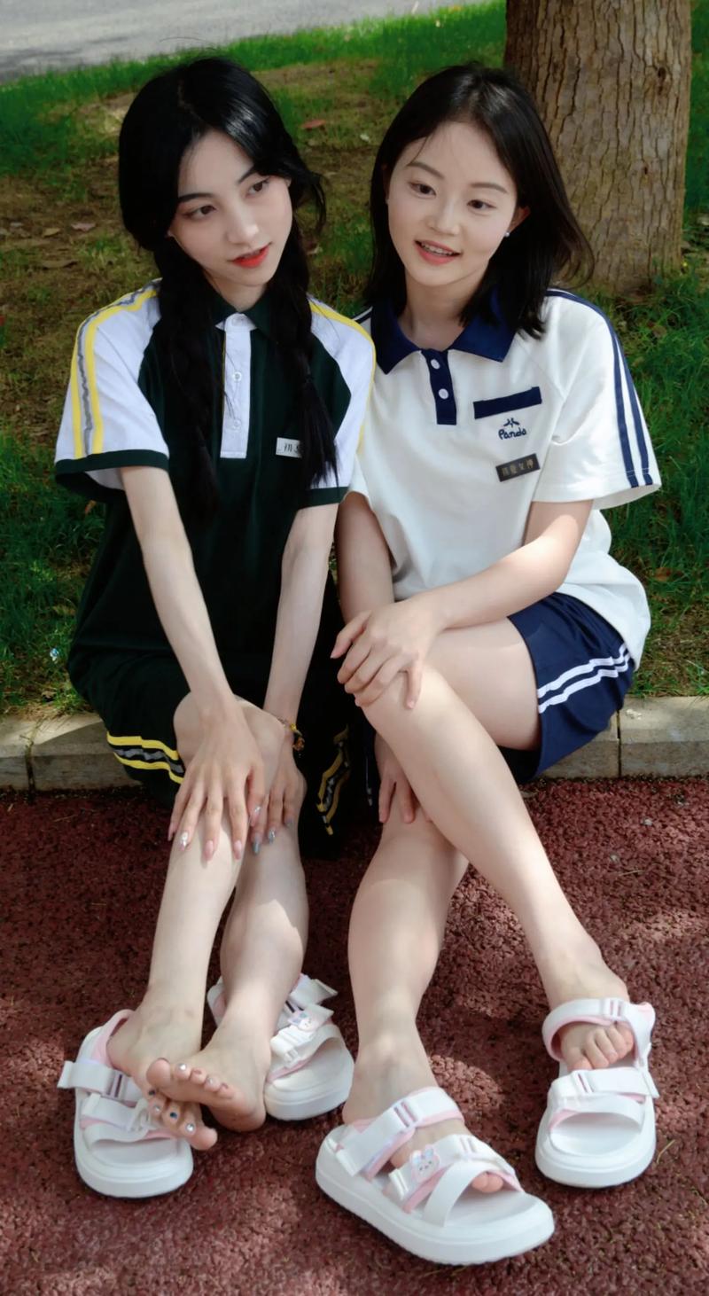 ôϵѧУ