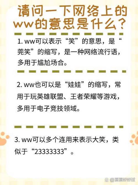 wwָʲô˼